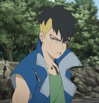 川木（日本漫画《BORUTO -火影新世代-》中的角色）_百度百科