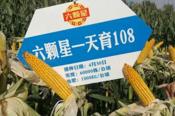 天育108