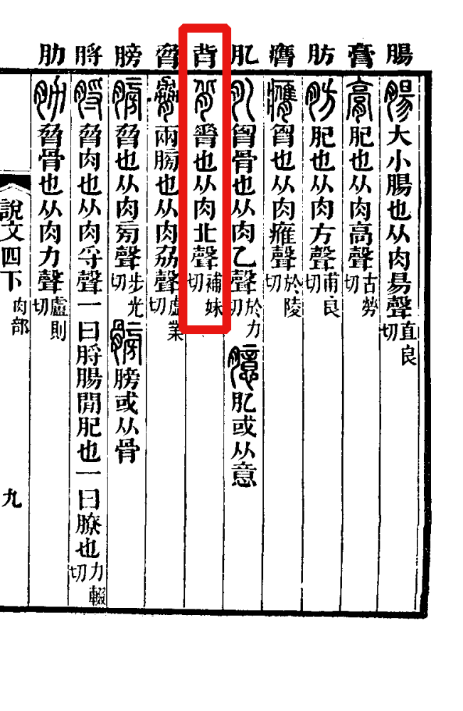 背（汉语文字）_百度百科