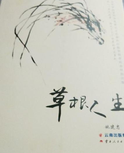 草根人生