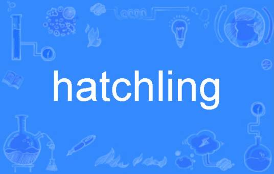 hatchling_百度百科