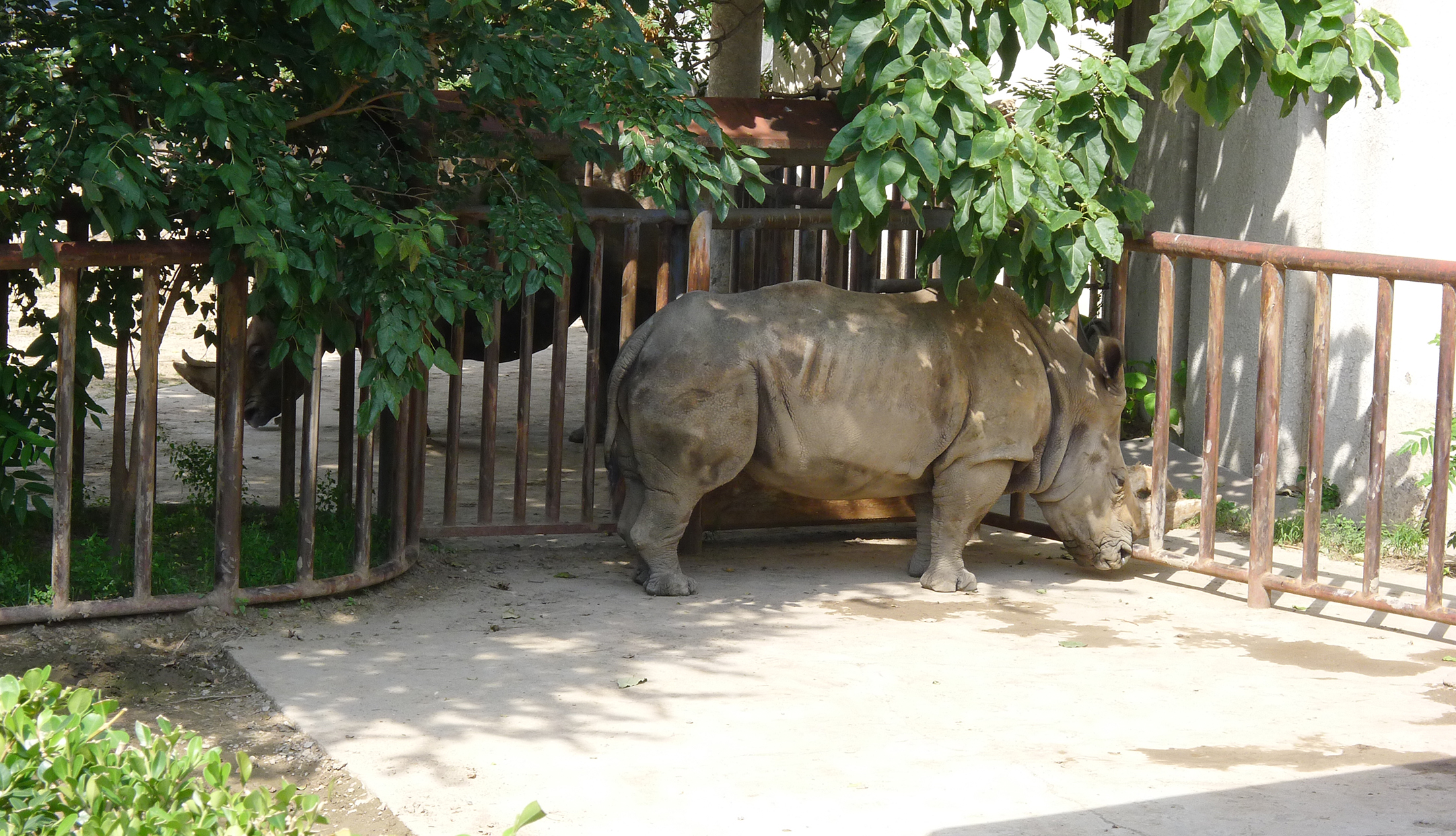 北京动物园两栖爬行动物馆