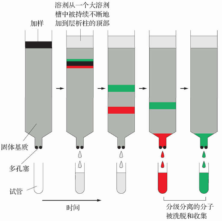 柱层析分离技术
