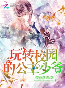 玩转校园的公主少爷