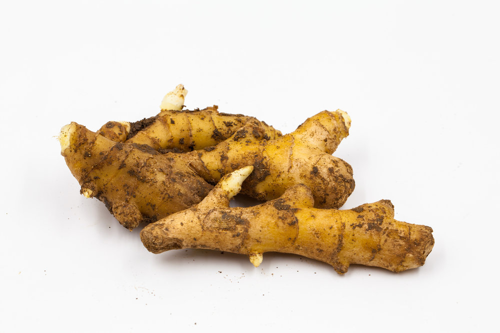zingiber officinale