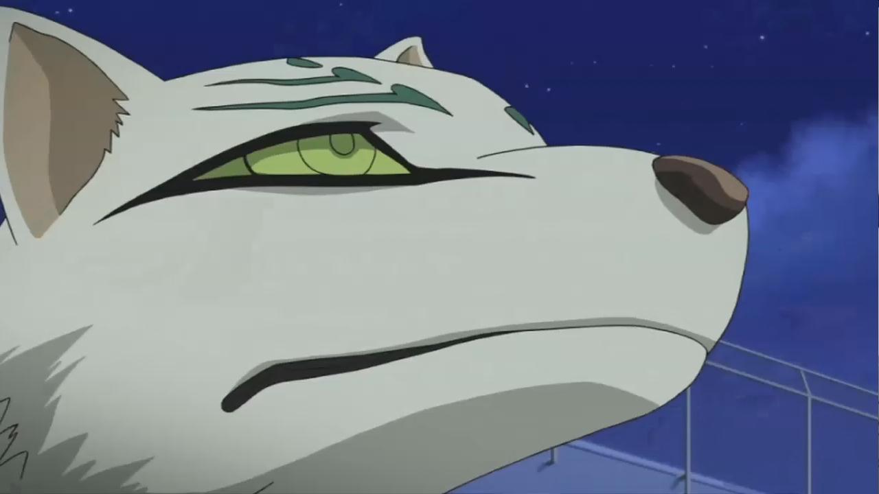 1q40o4">斑尾,漫画《 a target="_blank" href="/item/结界师/27859"