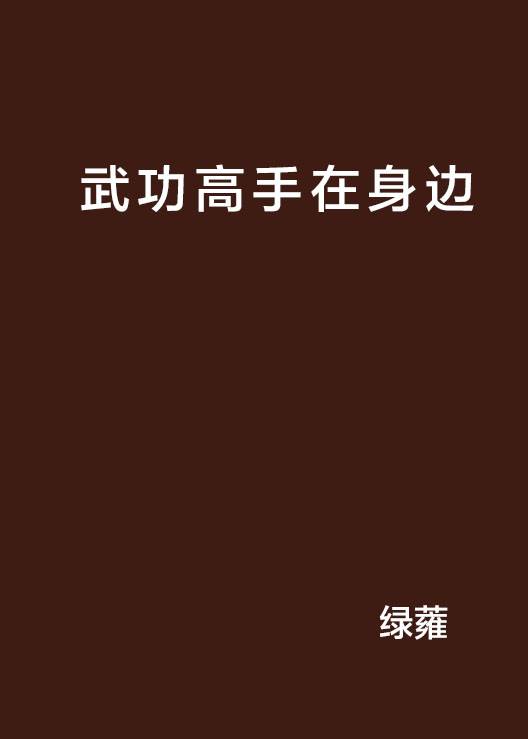 武功高手在身边_百度百科
