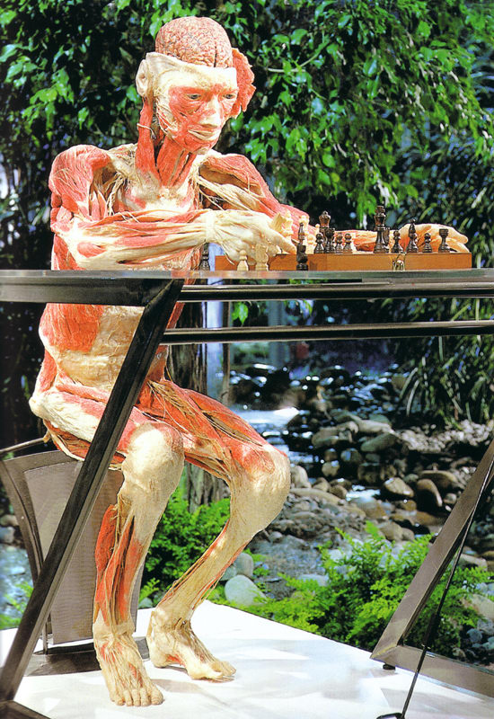 冯·哈根斯生物塑化(大连)有限公司