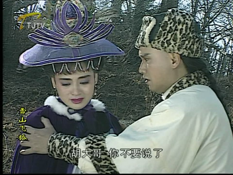 ">飞狐外传 /a>》女主角,恶霸 a target="_blank" href="/item/凤天南