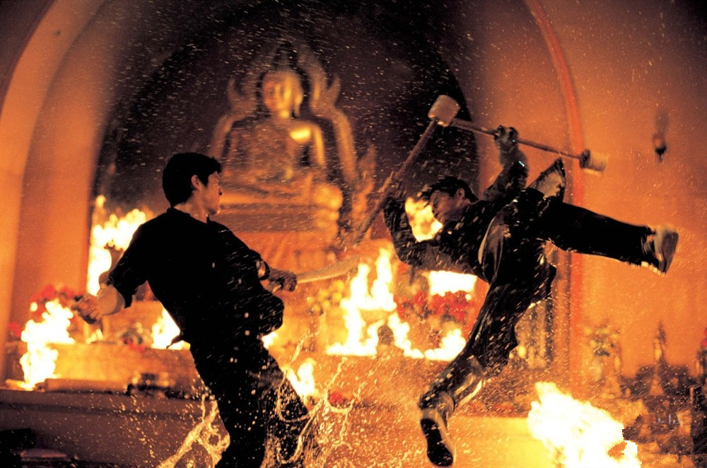 冬荫功theprotector(2005)