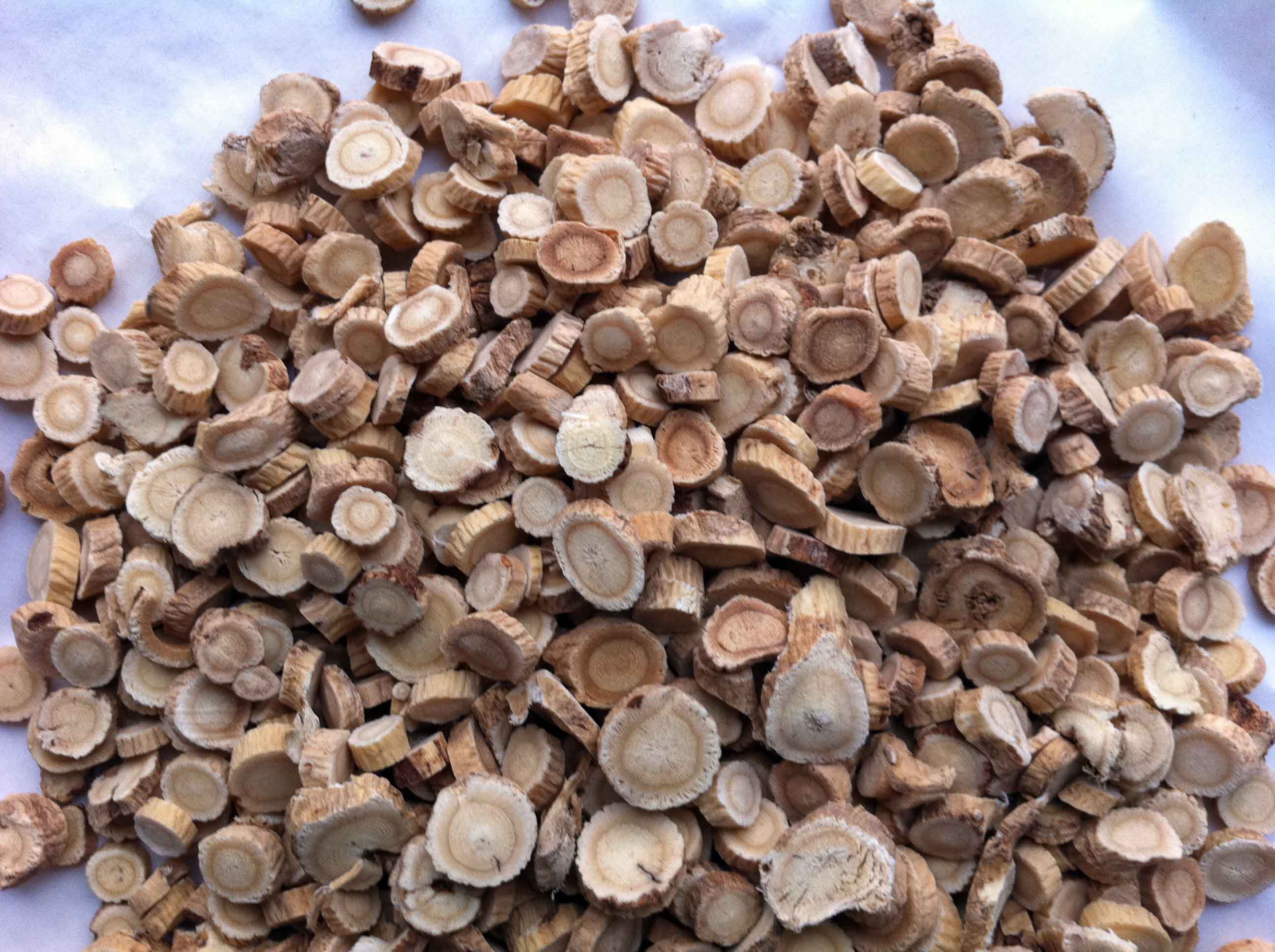  /i>),玄参科 a target="_blank" href="/item/地黄属">地黄属 /a>