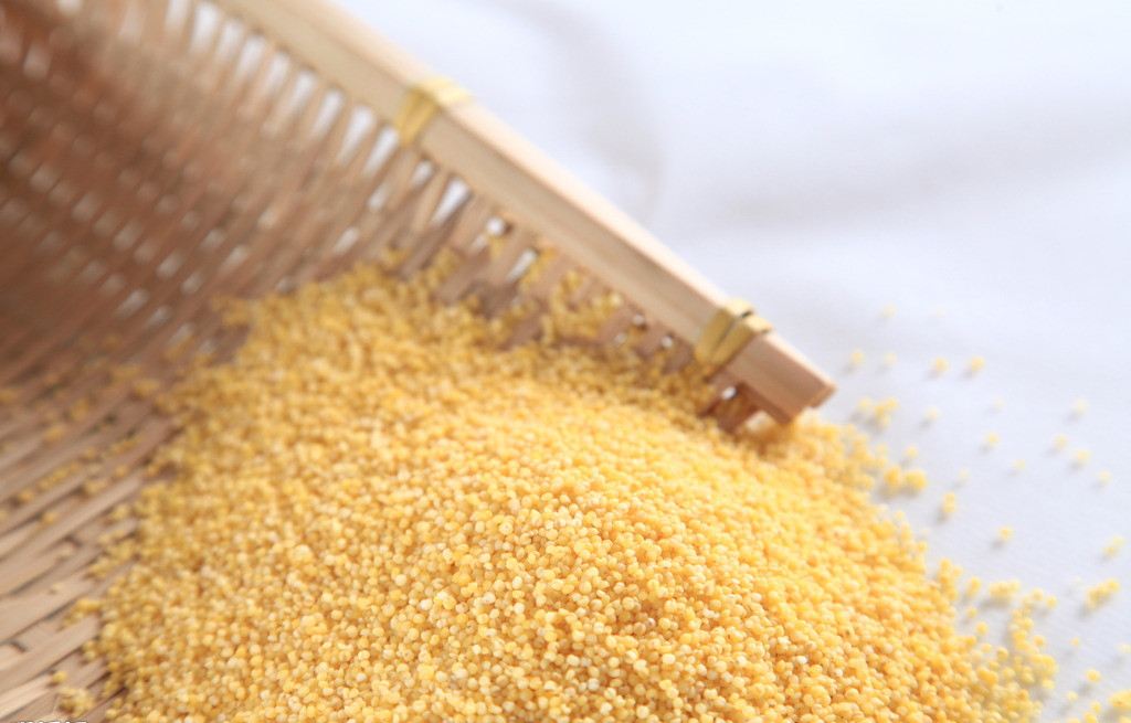  p>托古小米,黑龙江省大庆市 a target="_blank" href="/item/肇州县