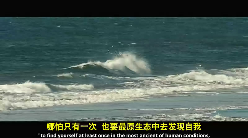 荒岛余生castaway(2000)