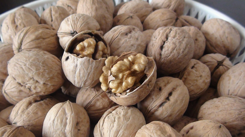  p>8518是8518公司和 a target="_blank" href="/item/8518核桃