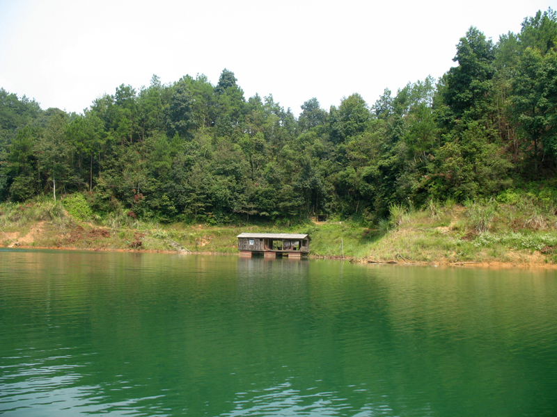 株树桥水库