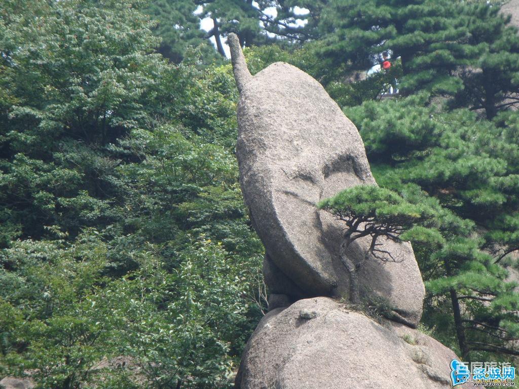  p data-id="gnx0kl0l62">松鼠跳天都为黄山耕云峰上一巧石,酷似活泼