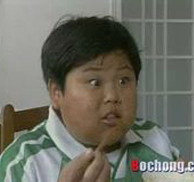 是1996年由赵文炘,庞好执导的电视剧,主要讲述了"金猴小队"的少先队员