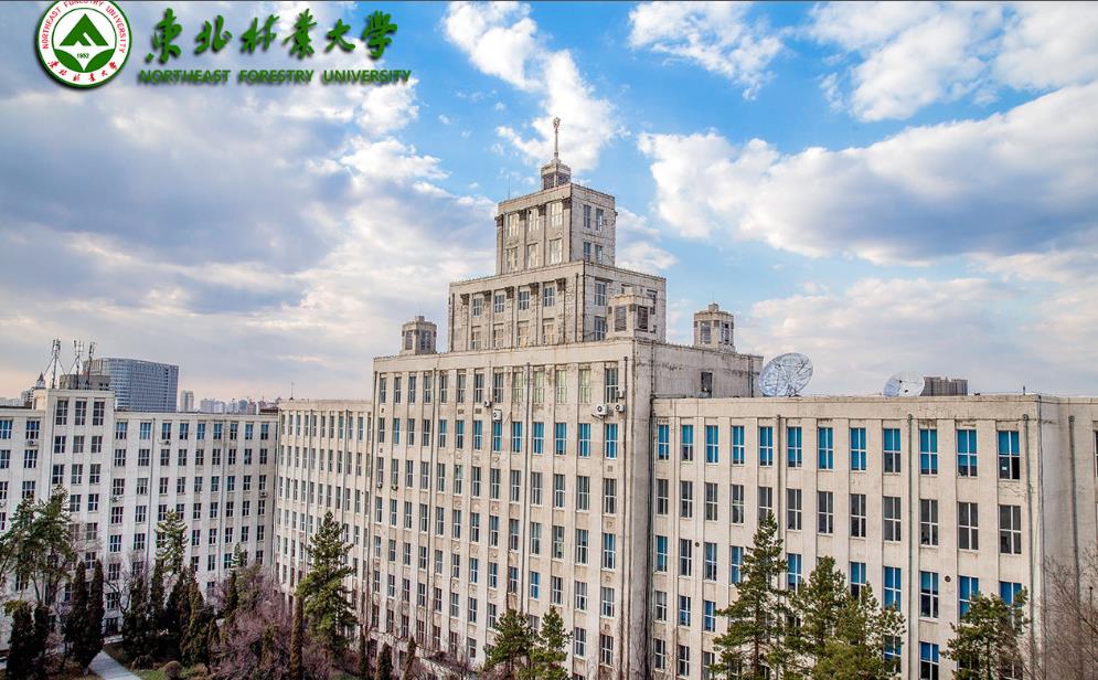 东北林业大学