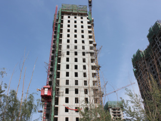 丽都国际