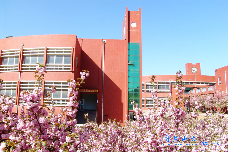 山东大学软件学院