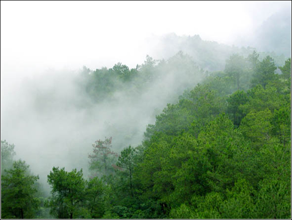 太平狮山国家森林公园