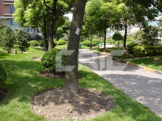 大华阳城花园(一期)项目位于上海市闸北区沪太路1589号,占地面积26000