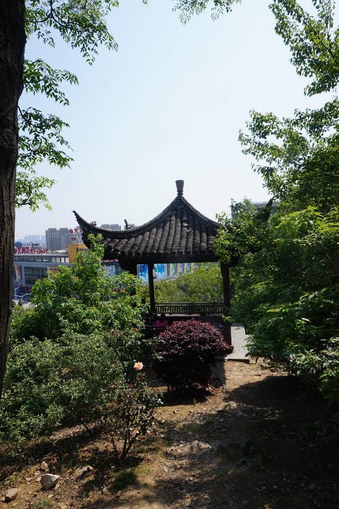 慈溪教场山公园