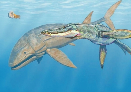  p>利兹鱼(leedsichthys problematicus)是一种已经灭绝巨大的厚茎鱼