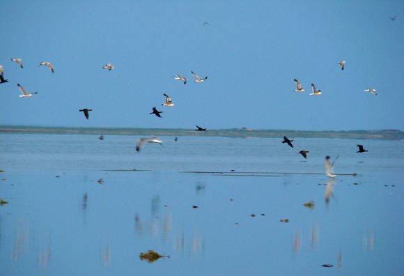 口湖,冰川湖,堰塞湖,喀斯特湖,河成湖,风成湖,海成湖和人工湖(水库)等
