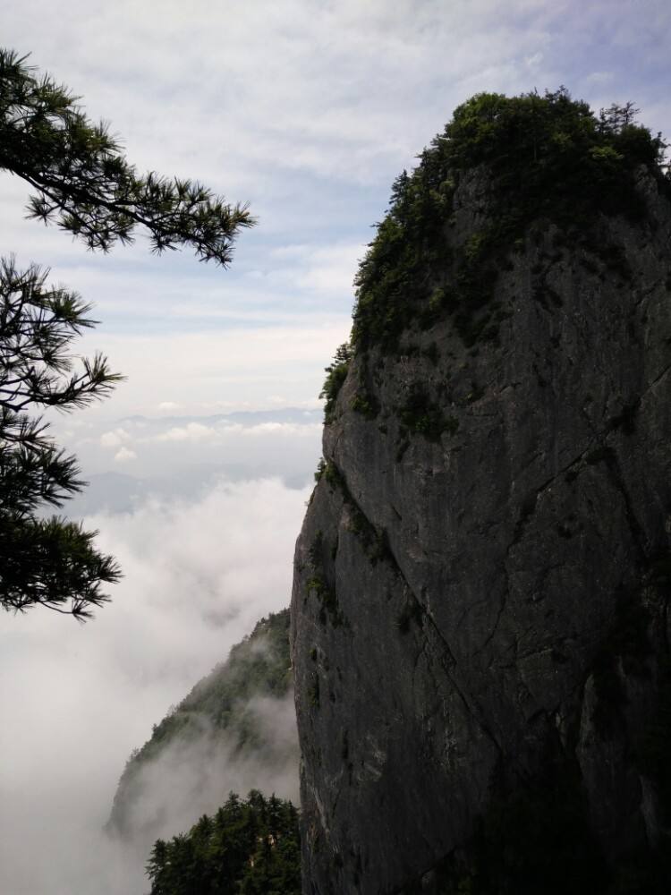 山阳天竺山国家森林公园