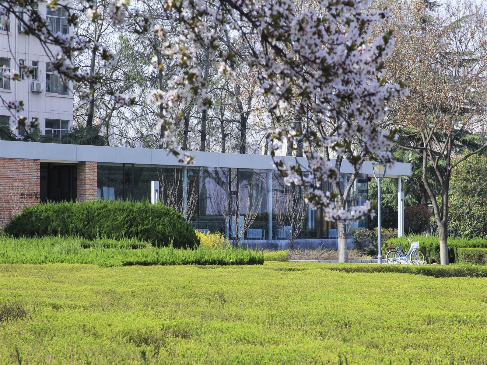 西安欧亚学院