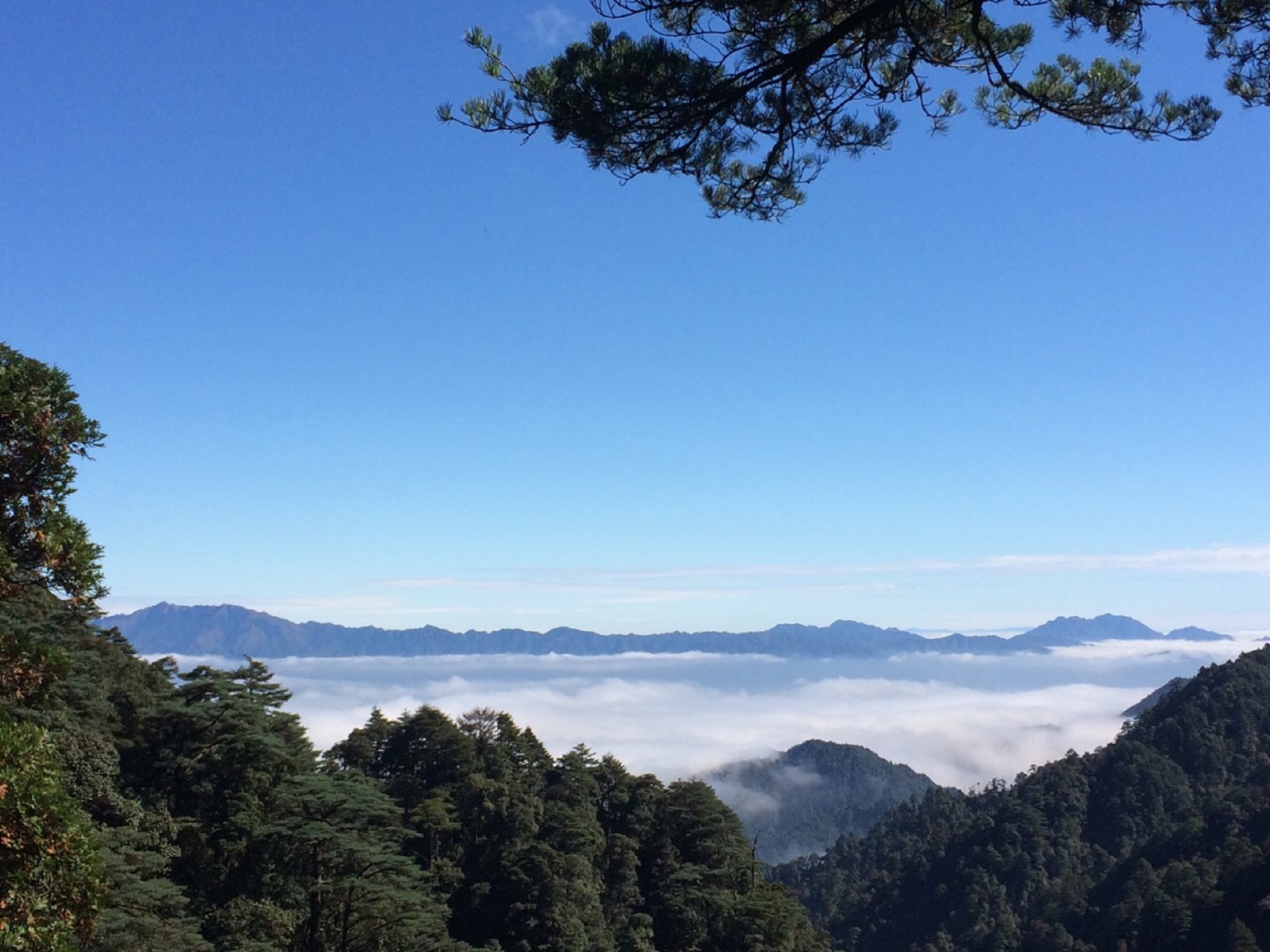  p> a target="_blank" href="/item/南岭">南岭 /a>国家森林公园是