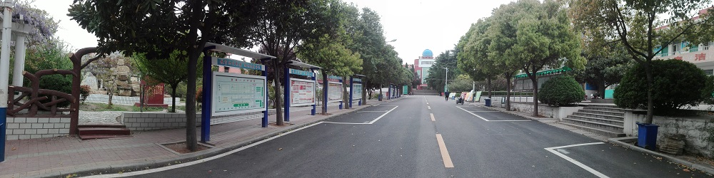 安徽省萧城一中