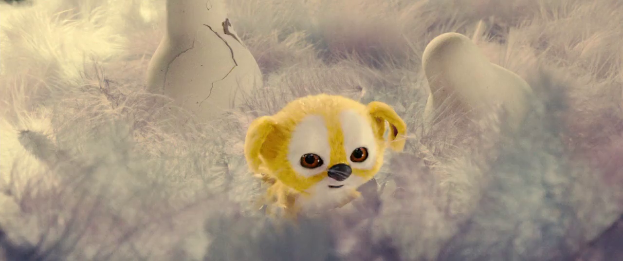 追踪长尾豹马修