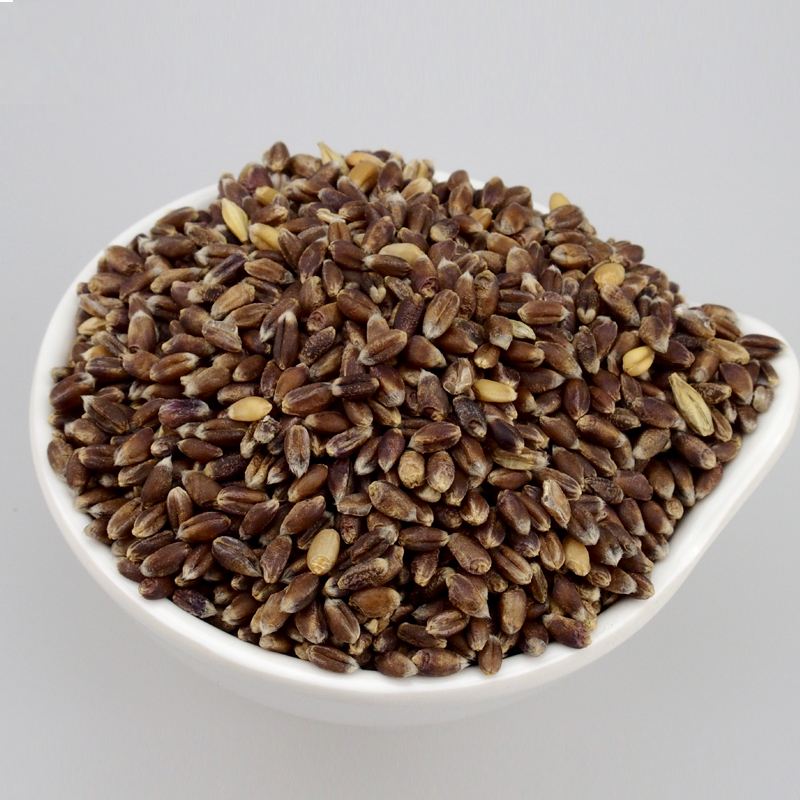  p>黑麦(学名: i>secale cereale /i> l.