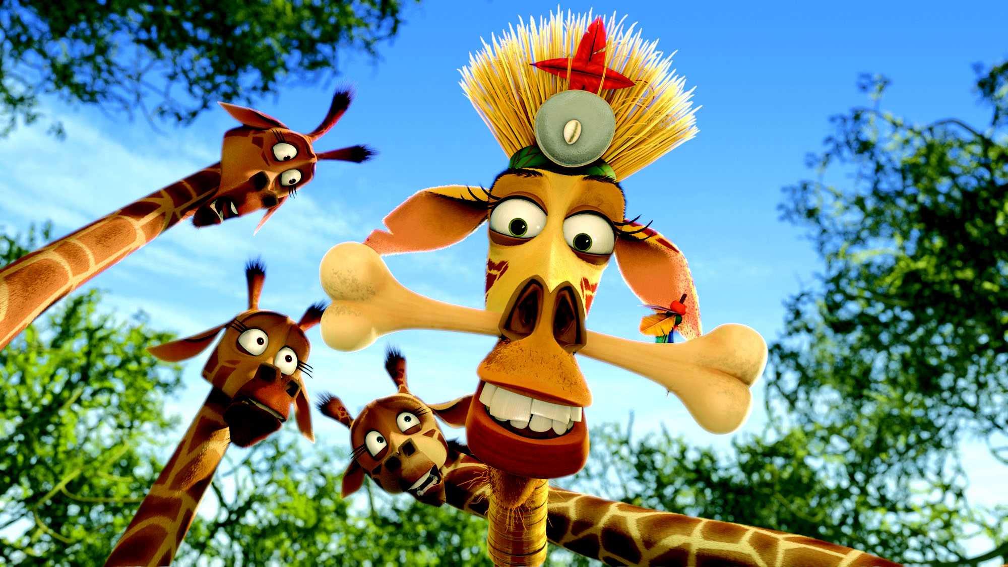 马达加斯加2:逃往非洲