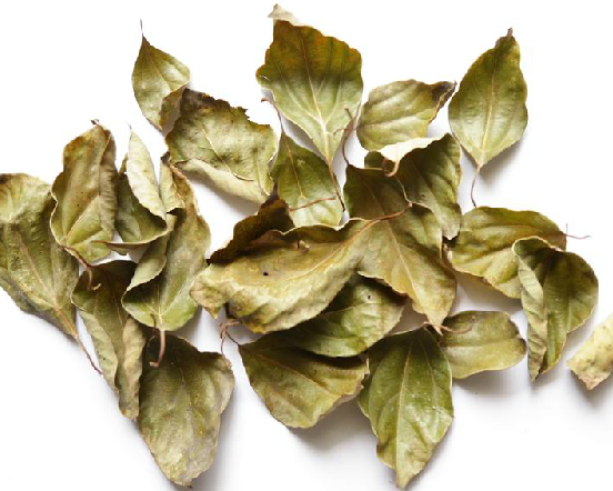  p>樟,中药名.为樟科樟属植物樟树 i>cinnamomum camphora /i> (l.