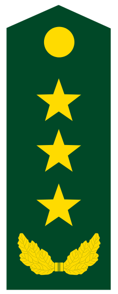 人民解放军,解放军,英文:peoples liberation army of china,英文