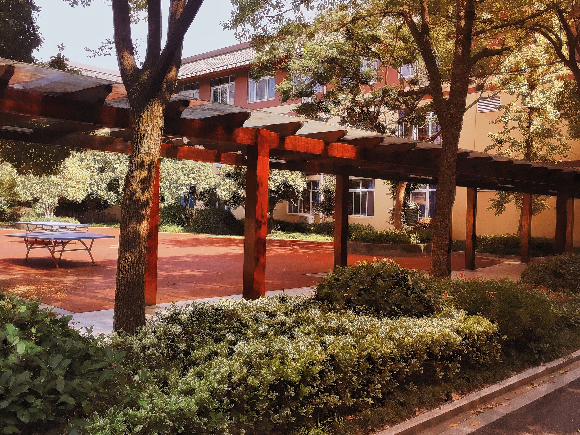  p> a target="_blank" href="/item/杭二中树兰实验学校/2628917"