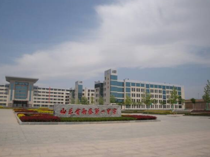 山东新泰一中