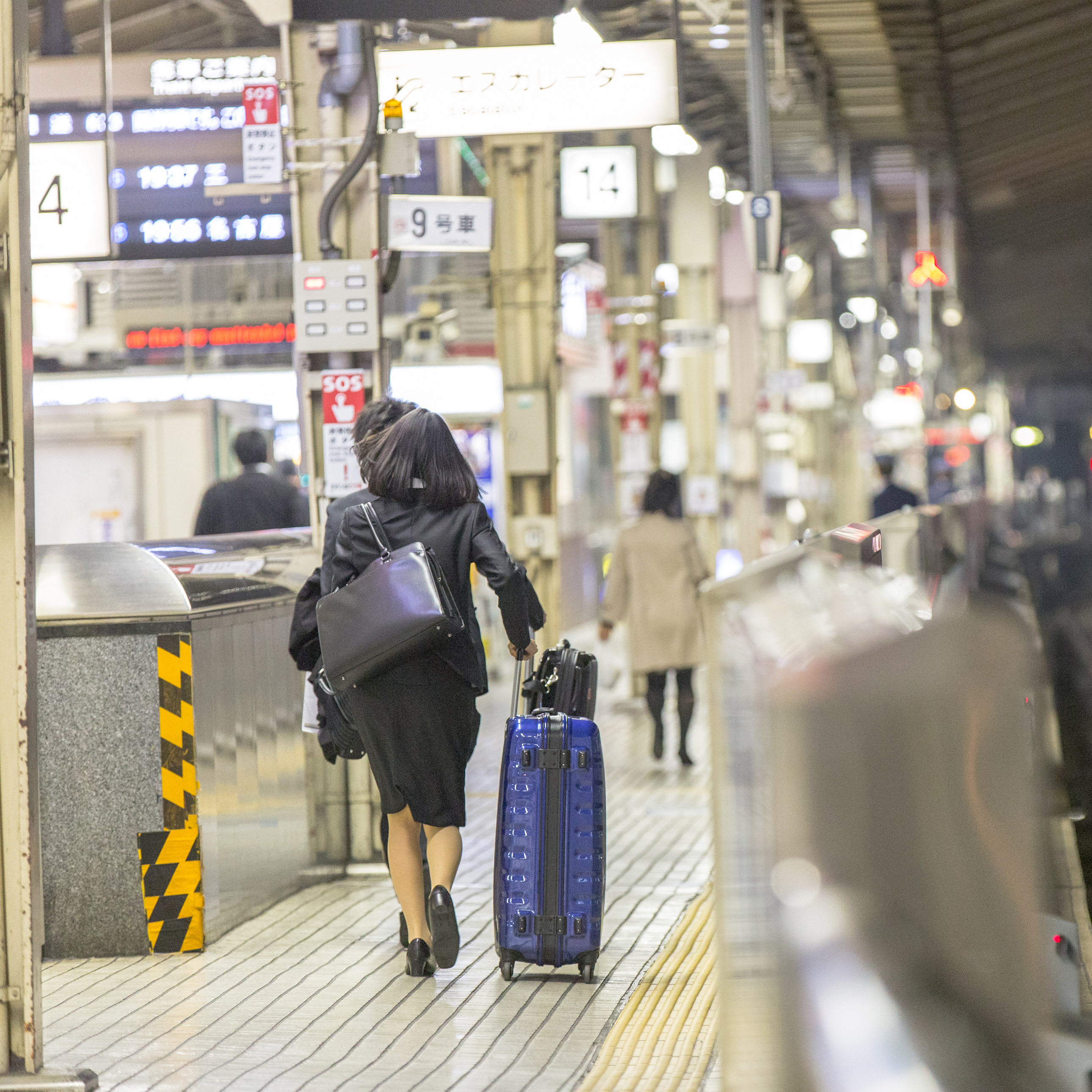 东京是如何走到今天这一步的 地球知识局 百科ta说