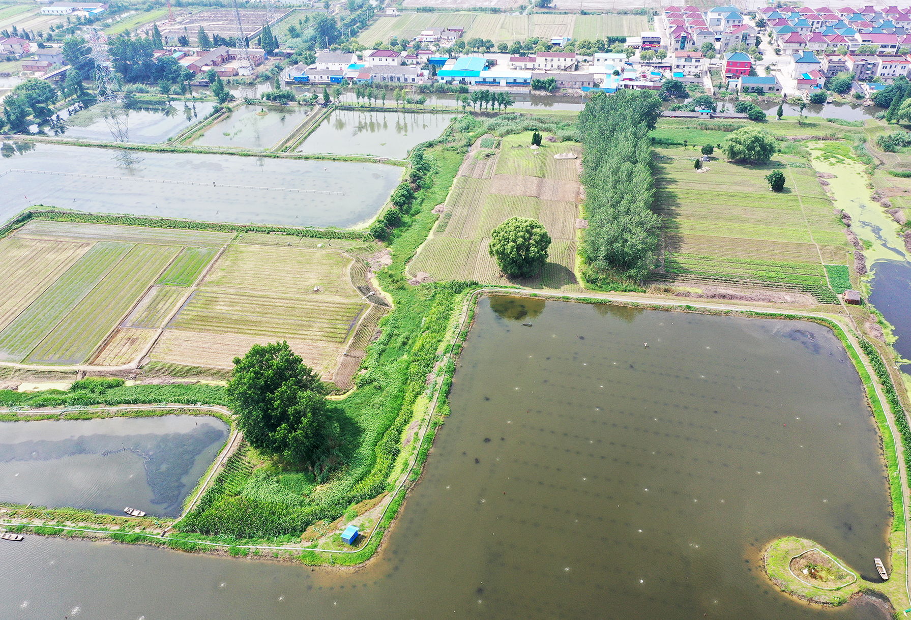  p data-id="gn35frz7em">仙河村位于东台市五烈镇政府南首,美丽传说