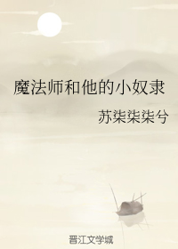 师和他的小奴隶》是连载中的一部奇幻类网络小说,作者是苏柒柒柒兮