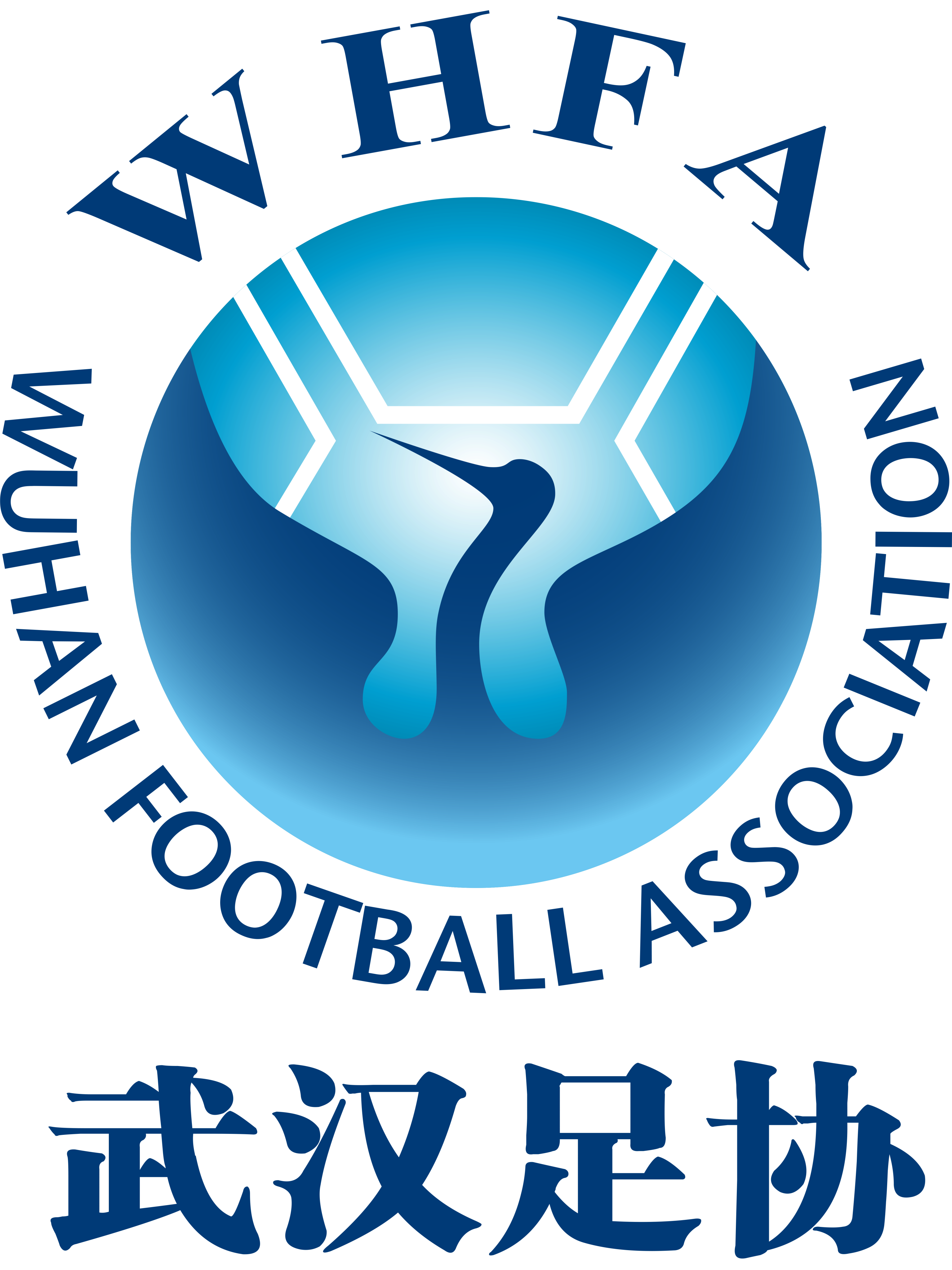 武汉市足球协会
