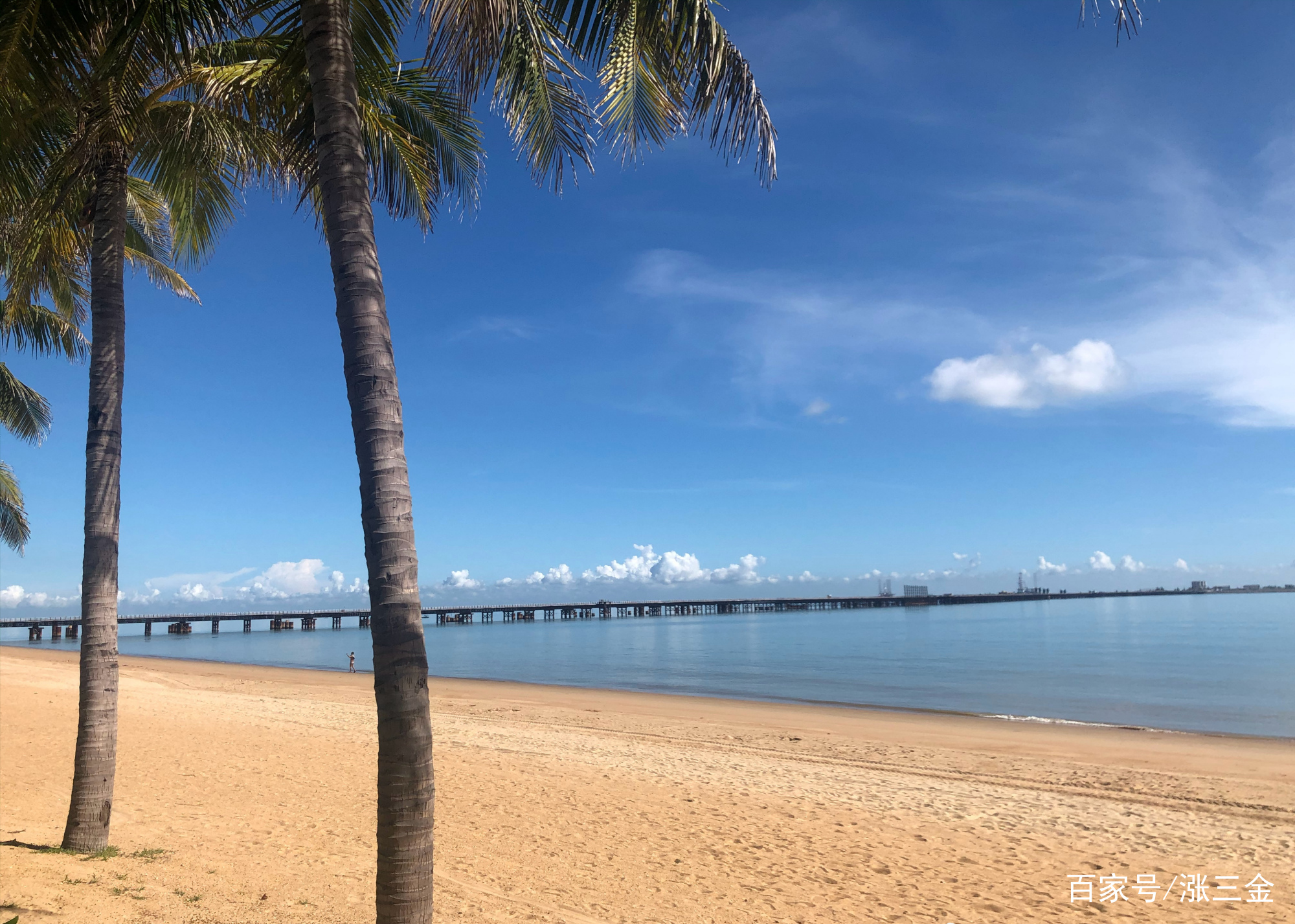 海口西海岸的椰树长廊_百科TA说