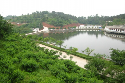 毛家湾森林公园