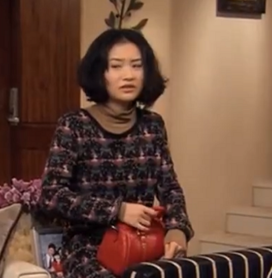 王燕（都市剧《女人的颜色》中的角色）_百度百科