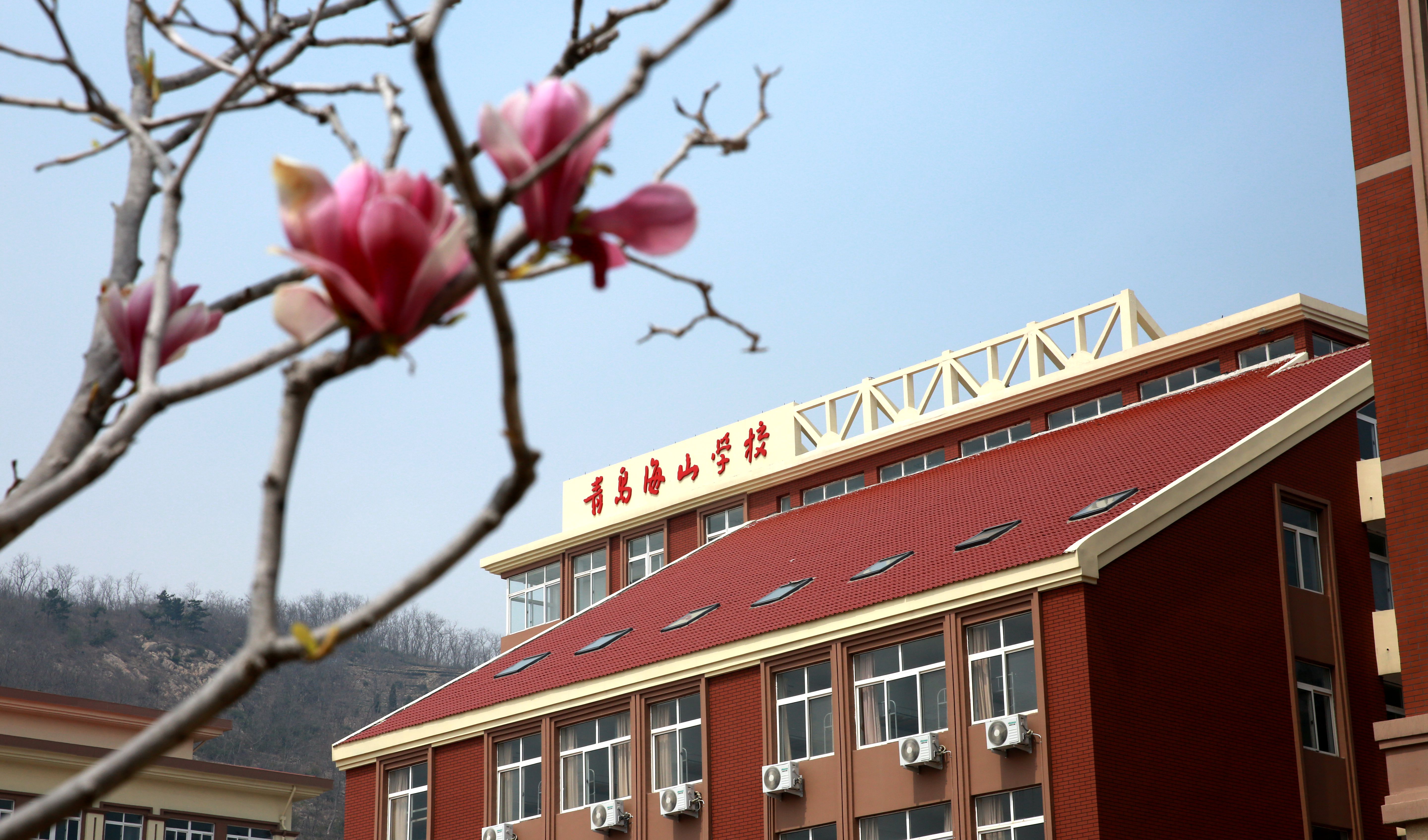 青岛海山学校