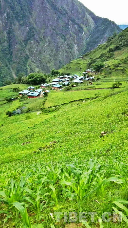  p>西藏自治区林芝市墨脱县加热萨乡辖行政村.