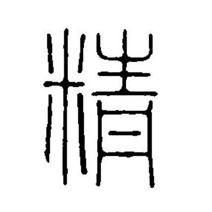 精（汉语汉字）_百度百科